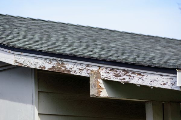 Chicago Wood Rot Repair