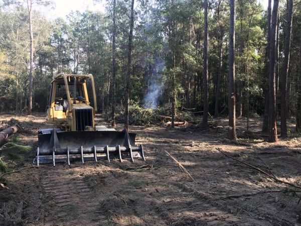 Chicago Land Clearing